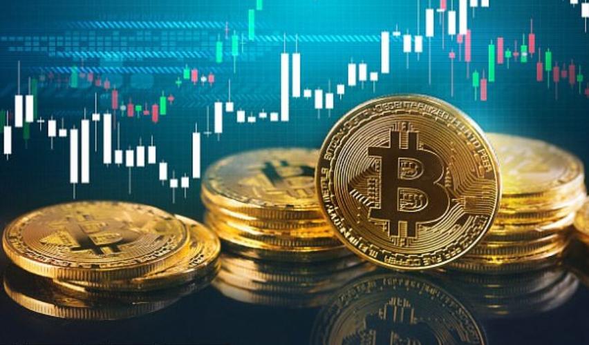 Bonk币能涨到1美元吗？Solana狗狗币未来潜力与投资前景解析
