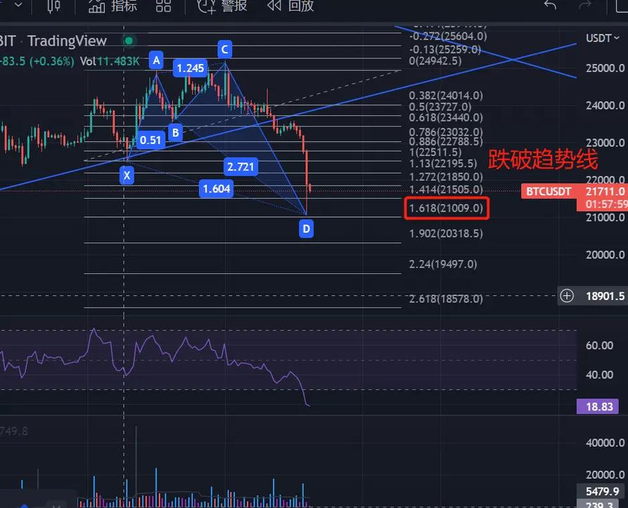 美股代币化赛道：StableStocks、xStocks 与 Robinhood 谁将拔得头筹？